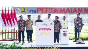 Jokowi Resmikan Persemaian Mentawir Untuk Rehabilitasi IKN