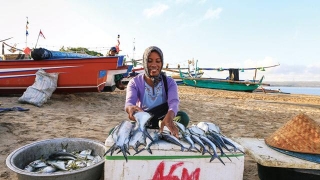 Nasib Nelayan Teluk Balikpapan Terancam Imbas Proyek IKN