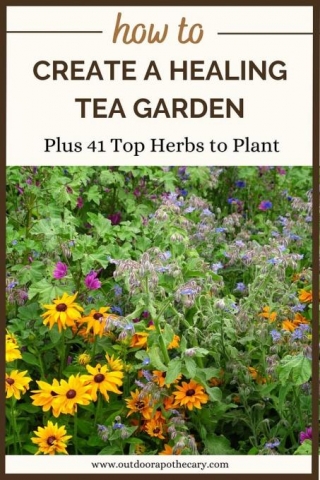Create A Healing Tea Garden: 41 Best Herbs