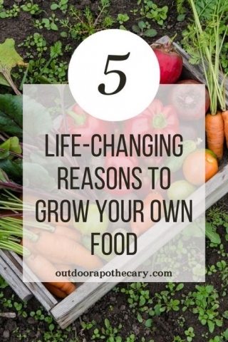 5 Life-Changing Reasons To Grow Your Own Food