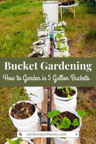 The Ultimate Bucket Garden Guide: Small Space, Big Harvest