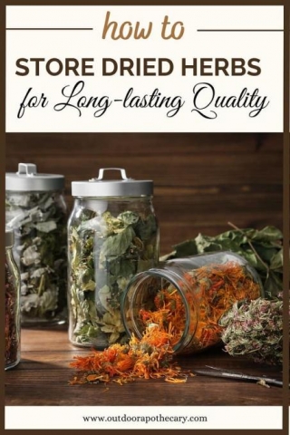How To Store Dried Herbs For Long-lasting Quality