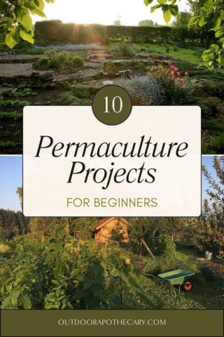 10 Easy Permaculture Projects For Beginners