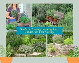 Guide To Creating Stunning Herb Gardens In Your Cottage