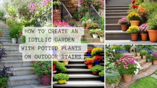 How To Create An Idyllic Garden With Potted Plants On Outdoor Stairs