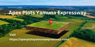 Buy Your Dream Home In Apex Plots Yamuna Expressway