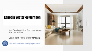The Essence Of Elegance Kanodia Sector 46 Gurgaon Homes