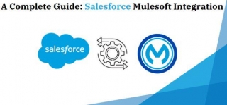 Detailed Instructions For Integrating Salesforce With Mulesoft
