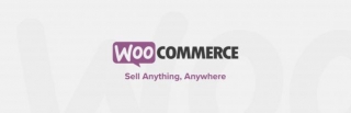 Master WooCommerce: An Essential Guide To Starting And Succeeding In Ecommerce