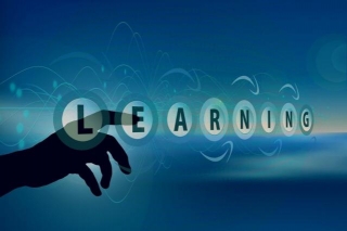 19 Best Learning Management System Examples For 2024