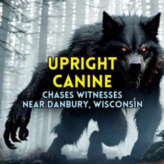 UPRIGHT CANINE Chases Witnesses Near Danbury, Wisconsin