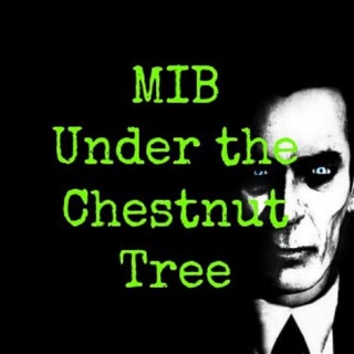 MIB Under The Chestnut Tree