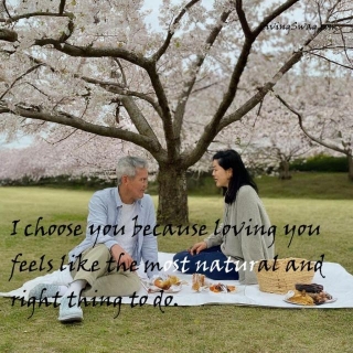 I Choose You Quotes: Deepen Your Relation