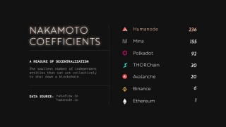 Humanode, A Blockchain Built With Polkadot SDK, Becomes The Most Decentralized By Nakamoto Coefficient