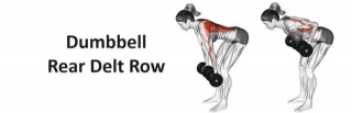 Dumbbell Rear Delt Row: Technique, Benefits, Alternatives, And More Explained