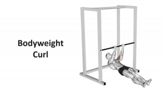 Bodyweight Curl: Technique, Benefits, Variations, And More Explained
