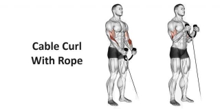 Cable Curl With Rope: Technique, Benefits, Variations, And More Explained