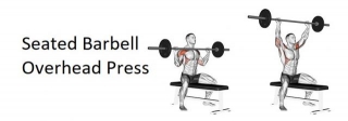 Seated Barbell Overhead Press: Technique, Benefits, Variations, And More Explained