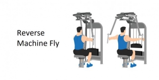Reverse Machine Fly: Technique, Benefits, Variations, And More Explained