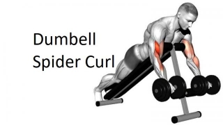 Dumbbell Spider Curl: Technique, Benefits, Variations, And More Explained