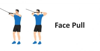 Face Pull: Technique, Benefits, Alternatives, And More Explained