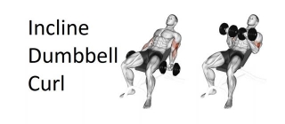 Incline Dumbbell Curl: Technique, Benefits, Variations, And More Explained