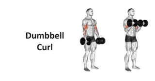 Dumbbell Curl: Technique, Benefits, Variations, And More Explained