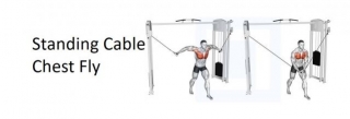 Standing Cable Chest Fly: A Complete Guide To Technique, Benefits, Alternatives, And More For Chest Development