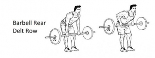 Barbell Rear Delt Row: A Comprehensive Guide To Technique, Benefits, Alternatives, And More