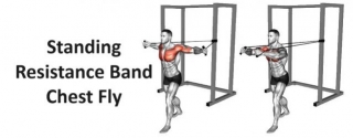 Standing Resistance Band Chest Fly: A Comprehensive Guide To Technique, Benefits, Alternatives, And More For Chest Development