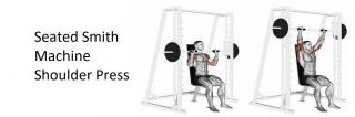 Seated Smith Machine Shoulder Press: Technique, Benefits, Variations, And More Explained