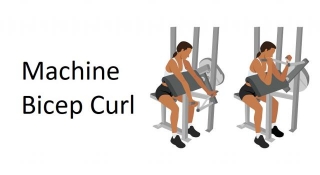 Machine Bicep Curl: Technique, Benefits, Variations, And More Explained