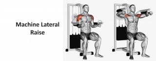 Machine Lateral Raise: Technique, Benefits, Alternatives, And More Explained