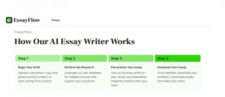 EssayFlow Review: Best Undetectable AI Essay Writing Tool