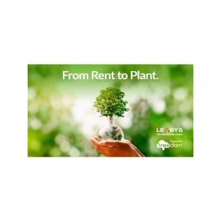 From Rent To Plant: Leasys Announces A New Partnership With Treedom To Reduce Its Footprint