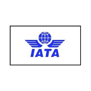 IATA 2024 Diversity & Inclusion Award Winners