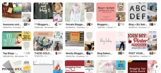 24 Best Niches For Pinterest Traffic From Official Sources