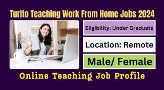 Turito Teaching Work From Home Jobs 2024