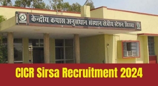 CICR Sirsa Recruitment 2024 Apply Online
