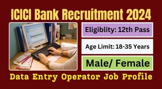 ICICI Bank Data Entry Operator Recruitment 2024 Apply Online