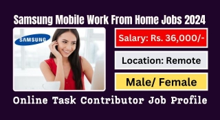 Samsung Mobile Work From Home Jobs 2024