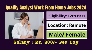 Quality Analyst Work From Home Jobs 2024