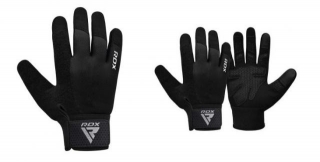 Glove Up, Level Up: Amplify Your Gym Experience