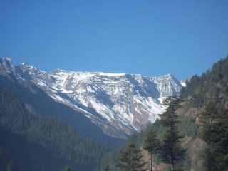 Chandigarh To Shimla Tempo Traveler