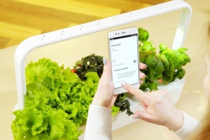 Elevate Your Green Thumb Game With The Smart Indoor Gardening System