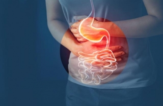 Gastric Motility Disorder Drug: Understanding Gastric Disorders And Available Treatment Options