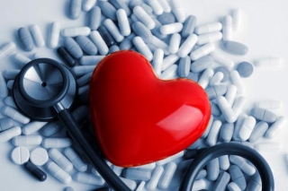 The Ultimate Guide To Cardiovascular Health Supplements: What You Need To Know