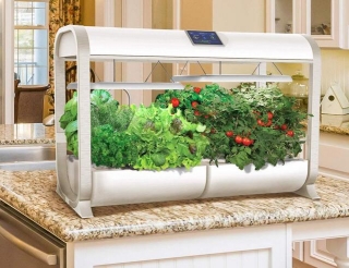 Revolutionize Your Home With The Ultimate Smart Indoor Gardening System