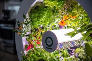 Transform Your Home With A Smart Indoor Gardening System