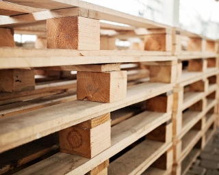The Environmental Impact Of Wood Pallets: A Comprehensive Analysis